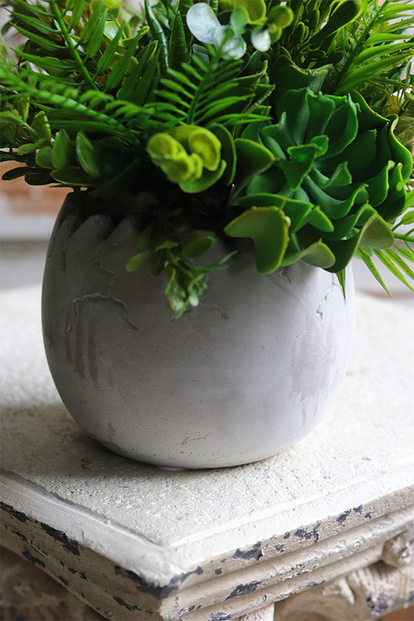 Minimalism, kompozycja sukulenty w betonowej donicy