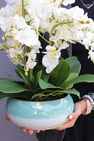 Quemada Turkus, sztuczny storczyk w ozdobnej misie	