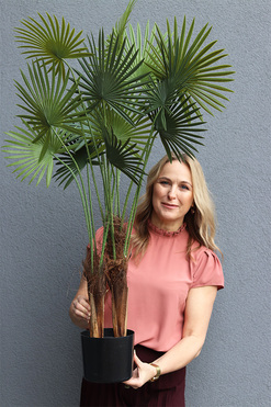 Palma Livistona, sztuczna roślina w doniczce, wys.115cm