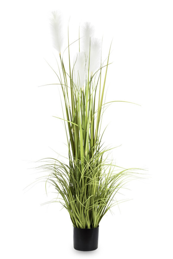 sztuczna trawa Pióropusze, biel, wys.150cm