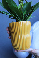 Słoneczna Aleja, gumowy storczyk w żółtej donicy