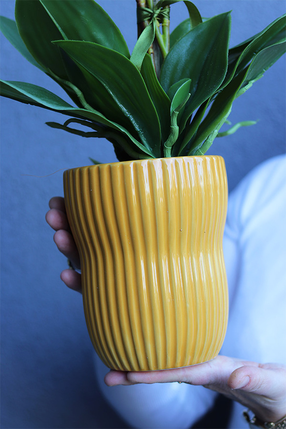 Słoneczna Aleja, gumowy storczyk w żółtej donicy