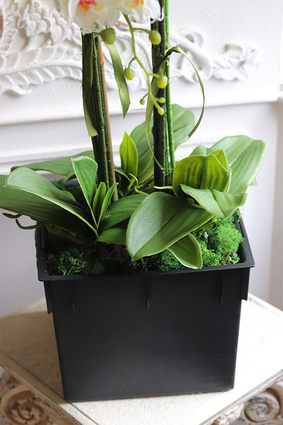 Mediolan Nimea Saute, sztuczny storczyk we wkładzie