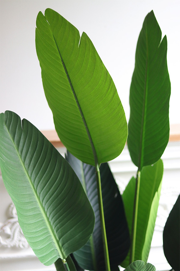 Bananowiec Porto, sztuczna roślina w donicy