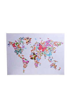 Świat Motyli, obraz mapa świata, 50x70cm