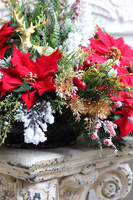 Red Winter 2, nowoczesna kompozycja nagrobna