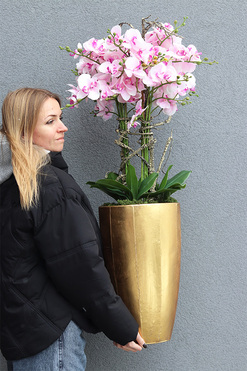 OD RĘKI Pink Orchid Złota Bajka, sztuczny storczyk podłogowy, wys.114cm