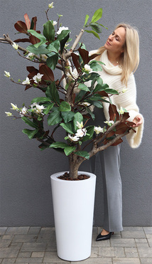sztuczne drzewko Magnolia Fiberglass w donicy, wys.180cm