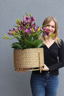 OD RĘKI Goldenario Harlow, biały gumowy storczyk w złotej donicy, wys.70cm