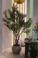 Oliwka Premium XXL, sztuczna roślina drzewko oliwne