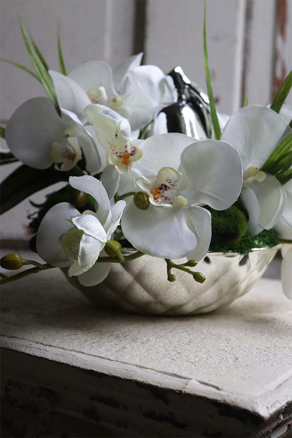 Dekoria Pear 3, storczyk kompozycja kwiatowa w srebrnym naczyniu, wym.22x29cm