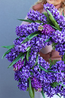 Hiacynty Fiolet 2, wiosenny wianek z hiacyntami