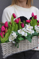 Tulipaneczki, kompozycja nagrobna w koszu