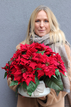 Gwiazda Betlejemska Kokarda Beige, wysokiej jakości sztuczna roślina, wys.34cm