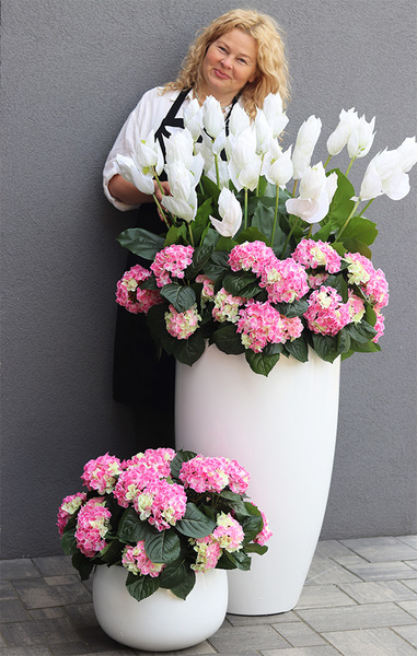 Medinilla Pink Hausete, podłogowa dekoracja kwiatowa