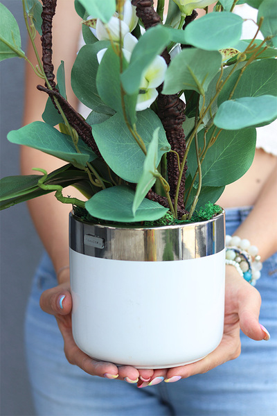 Joanne, wysokiej jakości storczyk w ceramicznej donicy, wys.60cm