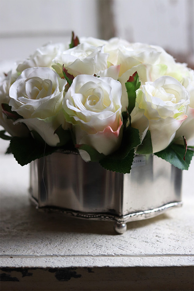 Amarenita, białe róże w cynowanym naczyniu