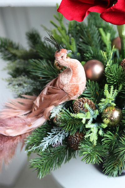 Amarylis&Paw, świąteczna kompozycja w pucharze