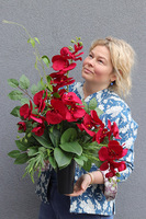 Red Orchids, bukiet nagrobny ze storczykiem