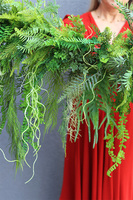 Veronea Greena, girlanda z zielonych zwisających pędów