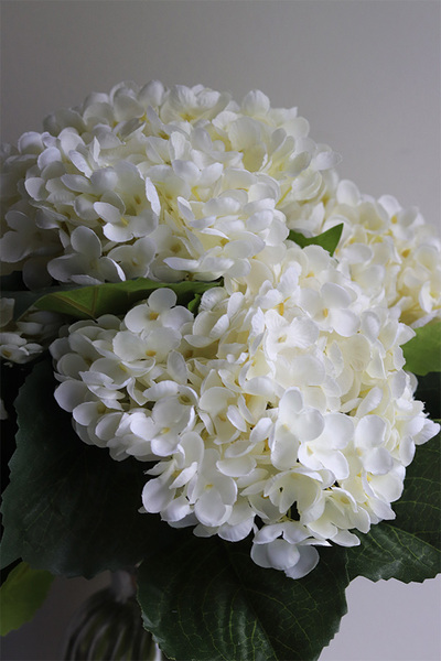 Hortensje Prowansja, kompozycja kwiatowa w wazonie