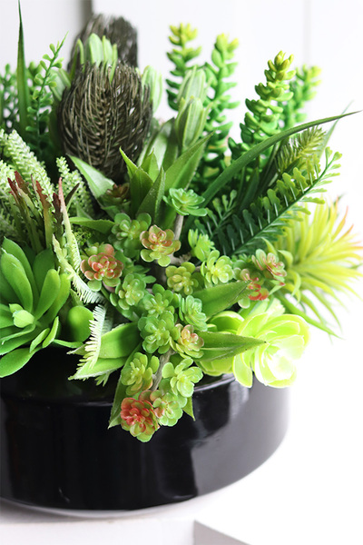 Suculentis Gaina 2, zielona kompozycja z sukulentami