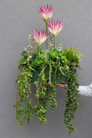 Grefire, sztuczna egzotyczna kompozycja ze zwisami, wys.70cm