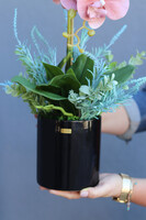 Cherry Me, gumowy storczyk w czarnej donicy