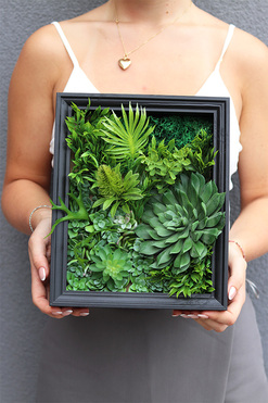 Sukulenty Black Frame, czarna jednostronna rama, wym.28x32x6cm