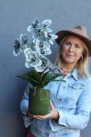 Green House, wysokiej jakości sztuczny storczyk, wym.58cm