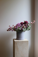 Violanta, flowerbox z hortensjami