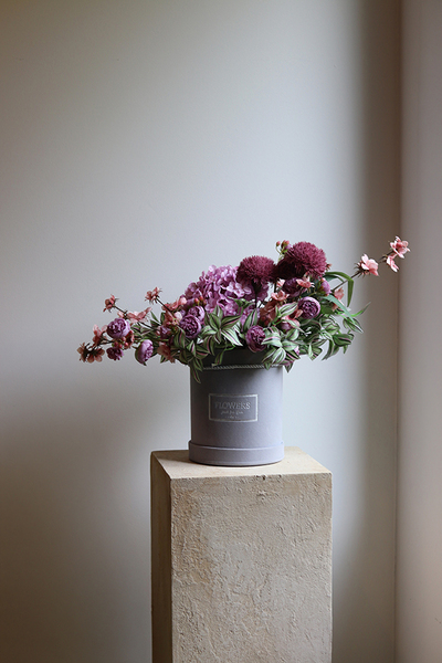 Violanta, flowerbox z hortensjami