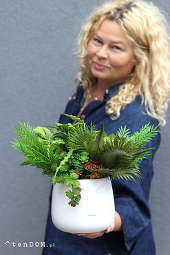 OD RĘKI Green Face, zielona kompozycja w donicy z twarzą, wys.26cm