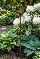 Rust Garden, metalowa dekoracja ogrodowa