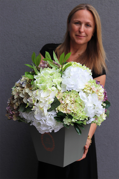 flowerbox z hortensjami, Mediano Hydrangea, wym.54x44cm 