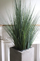 Concrete Square 3, wysokiej jakości sztuczna trawa w betonowej donicy