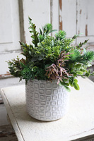Bedista, kompozycja sukulenty w biało - szarej donicy, wym.29x21cm