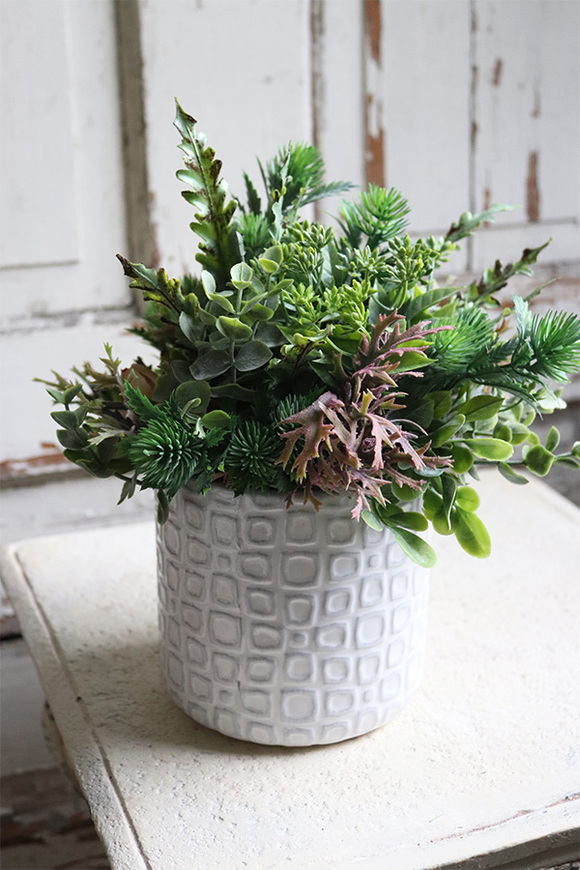 Bedista, kompozycja sukulenty w biało - szarej donicy, wym.29x21cm