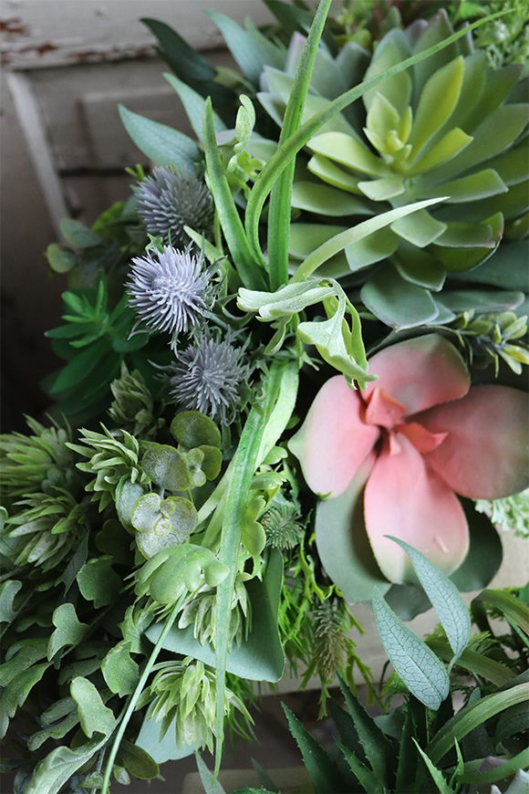 kompozycja Sukulenty do twojej donicy, Ocean Manfista, wym.25x65x28cm