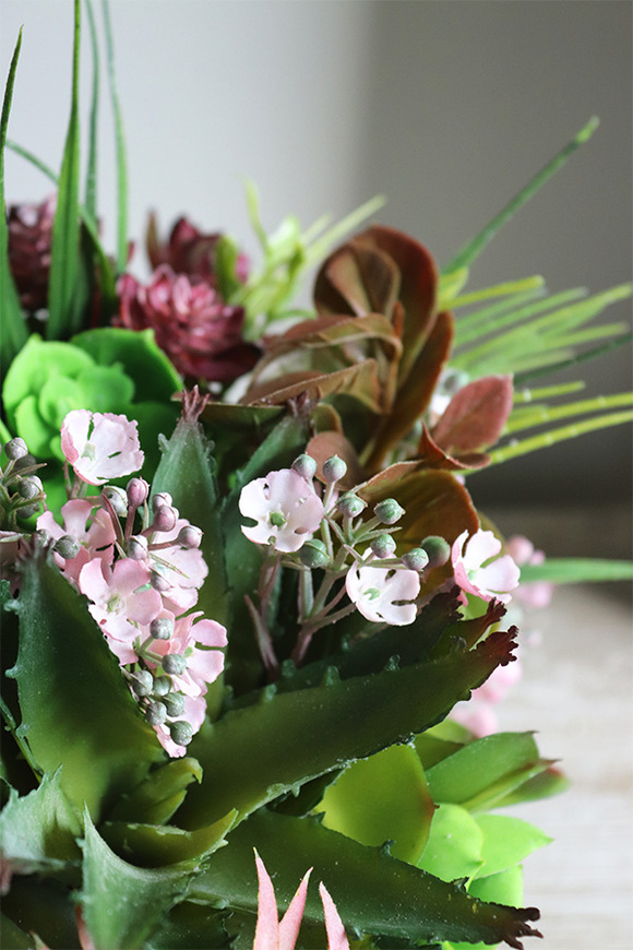 Maria Camino B, kompozycja sukulenty w okrągłej donicy, wym.20x28cm