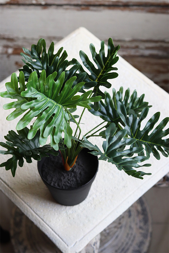 doniczkowy Filodendron, wysokiej jakości sztuczna roślina, wys.30cm