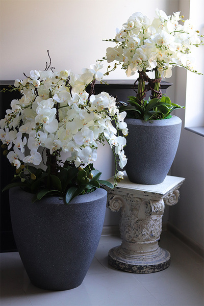 Grey House 2, sztuczny storczyk w ceramicznej donicy