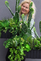 Opuncja Cacti Saute, sukulenty z kaktusem do Twojej donicy