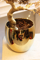 Bonsai Gold, dekoracja świąteczna LED