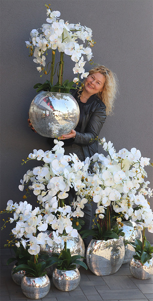 sztuczny storczyk Explosion Oval