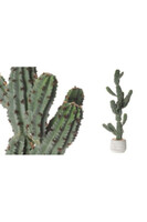 Kaktus A, sztuczna roślina w osłonce z tworzywa sztucznego, dł.83cm