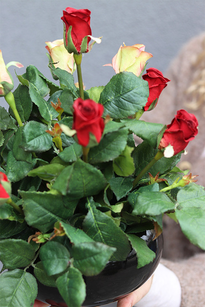 Juliet Roses Premium, kompozycja nagrobna w misie