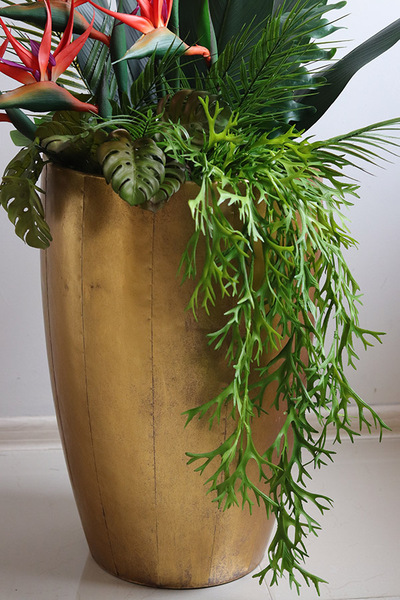 Strelicja Złota Bajka, egzotyczna kompozycja