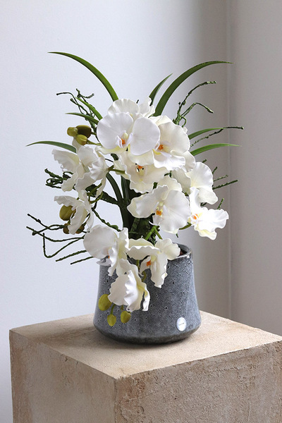 Orientana, gumowy sztuczny storczyk w ozdobnej donicy