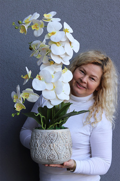 Nerulena, gumowy storczyk w rustykalnej donicy, wys.66cm 